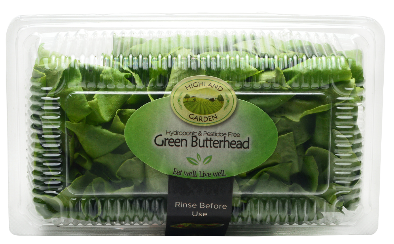 Green Butterhead Lettuce