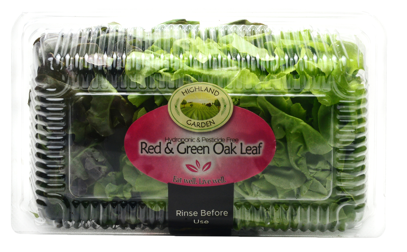 Red and Green Oak Leaf Lettuce