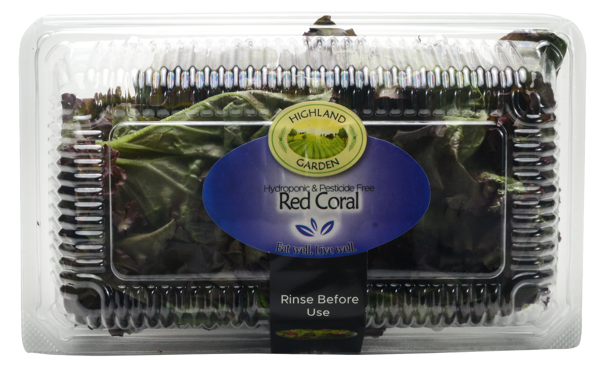Red Coral Lettuce