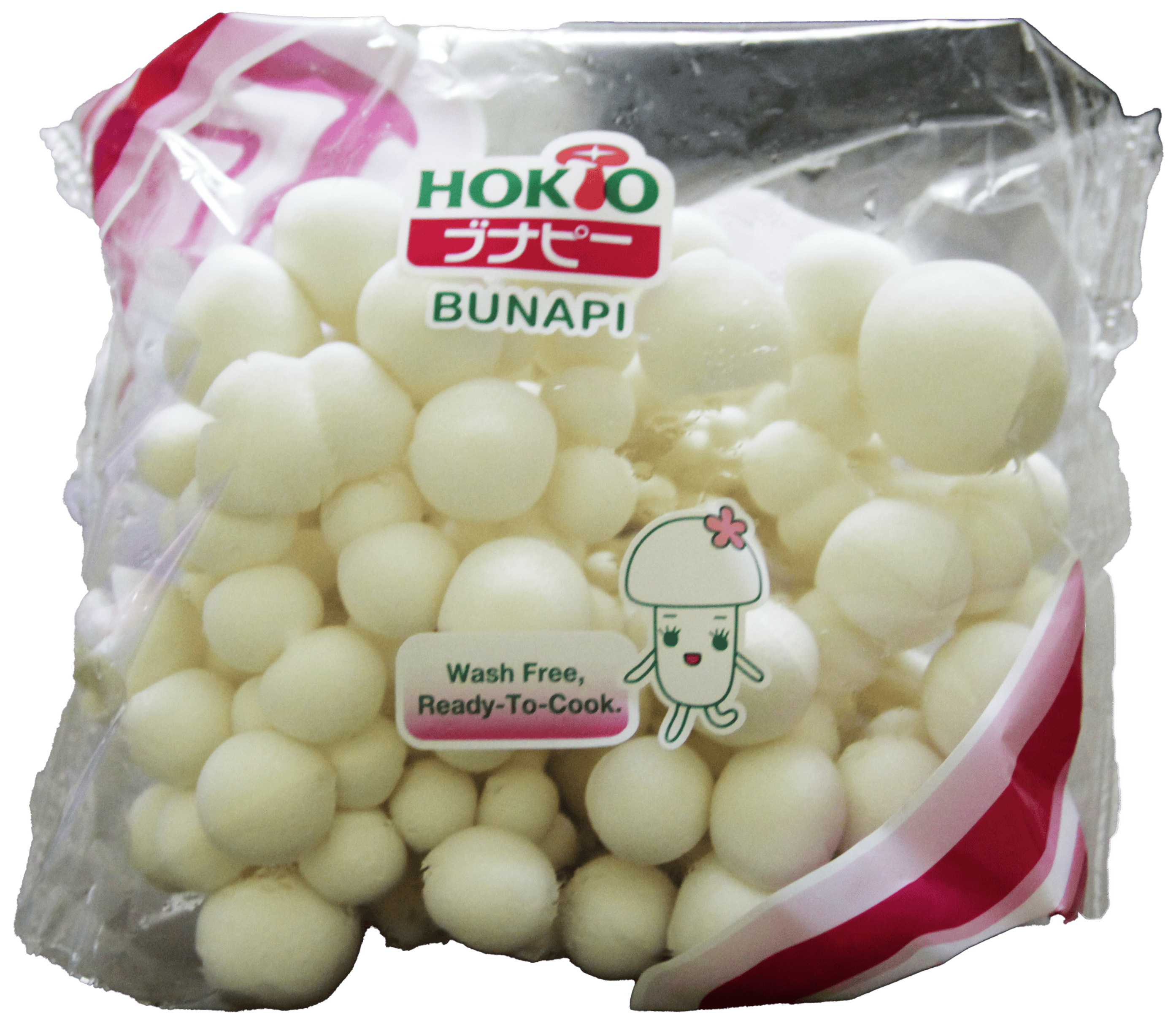 Hokio Buna Mushroom