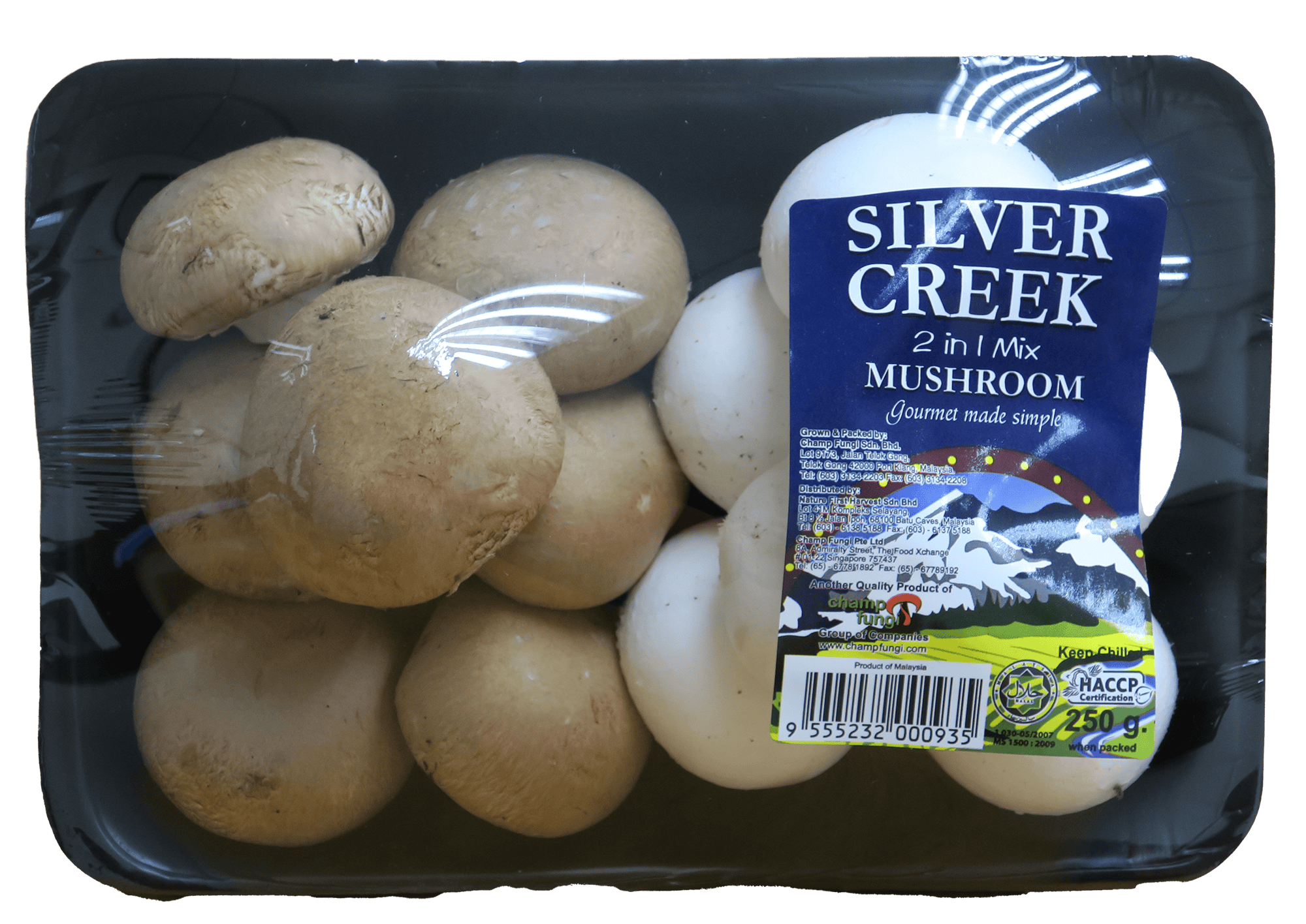 2-in-1 Silver Creek Mushroom