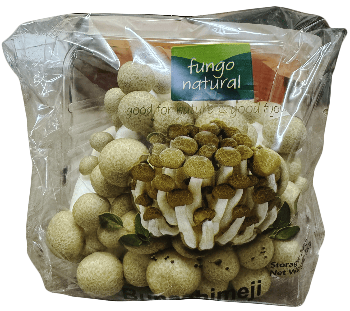 Fungo Buna Shimeji Mushroom